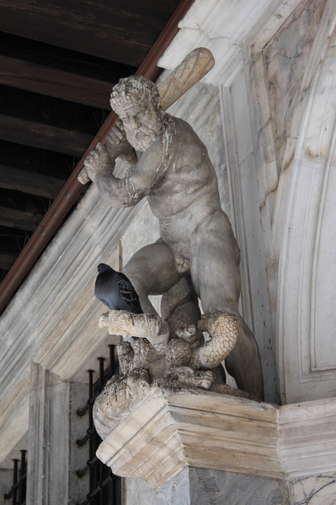 Funny pic from Doge's Palace...this pigeon has no idea what is in store for him, lol.