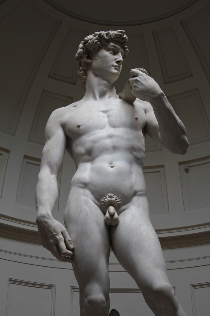 Close up of The David Statue...with errr full frontal.