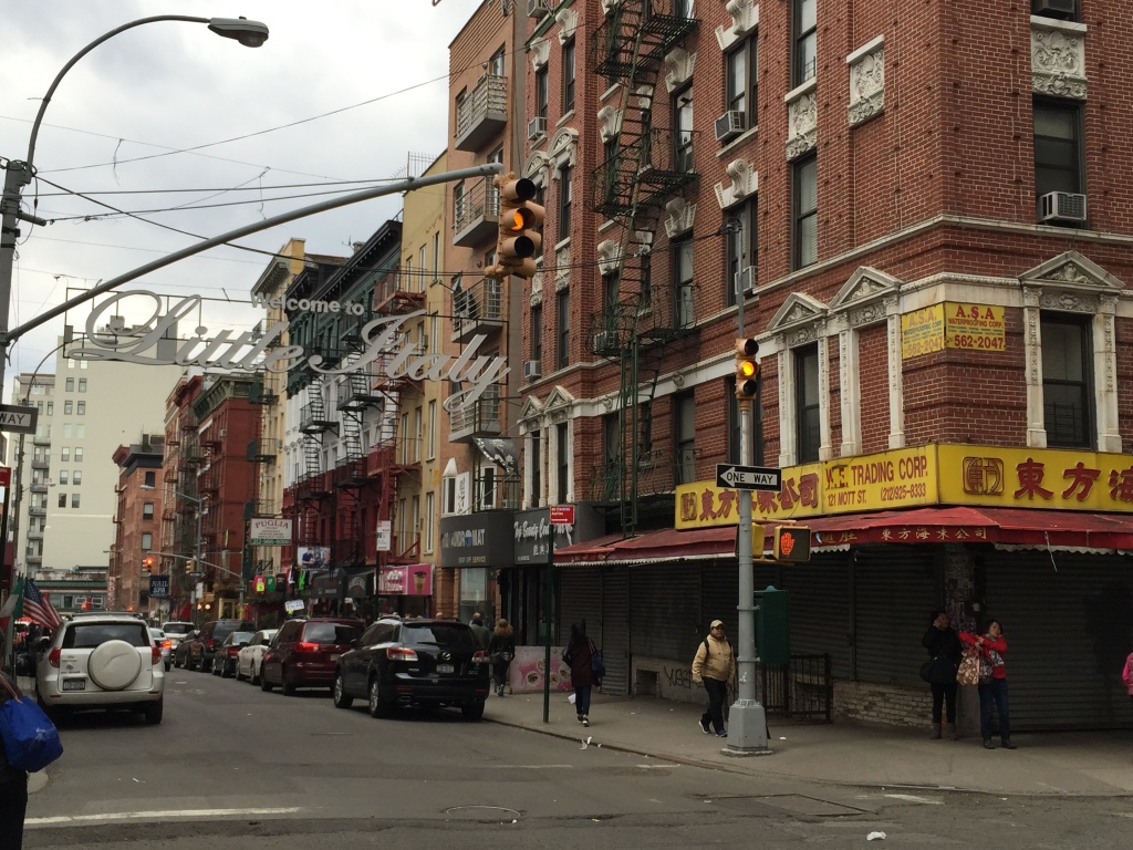 That's NYC...neighborhoods border each other where you'd find a Chinese trading store right next to the the welcome sign for little Italy.
